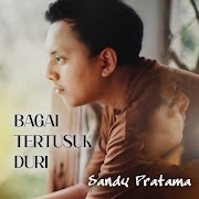 Sandy Pratama - Bagai Tertusuk Duri.mp3