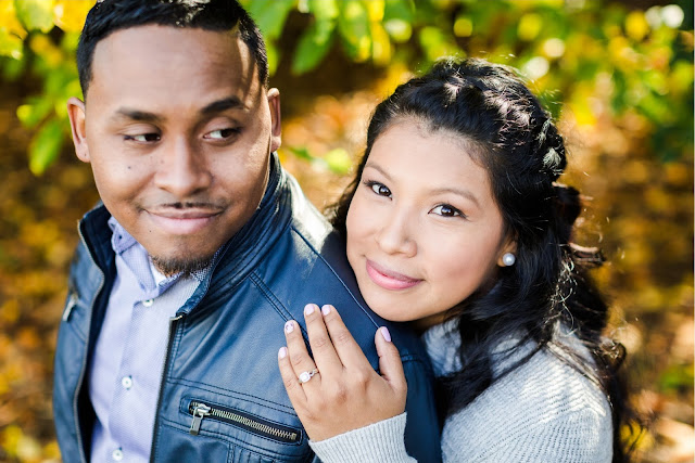 Brookside Gardens Engagement Photos