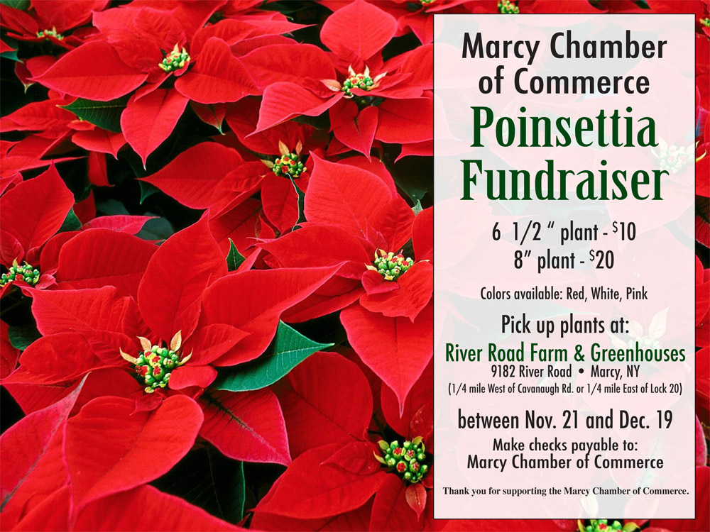 Marcy Chamber of Commerce: Shop Local While Helping the Marcy Chamber 