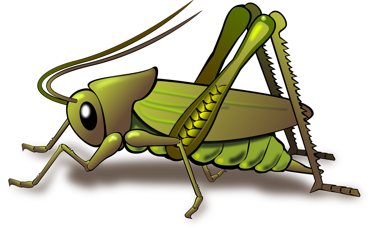  Pernapasan  Serangga dan Kecambah Ilmu Sekolah