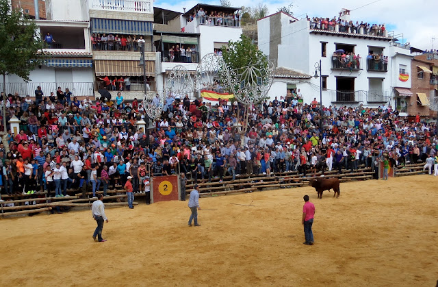 Lugros.Toros de la Peza