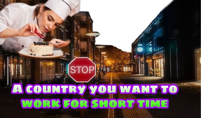  Describe a country in which you would like to work for a short time