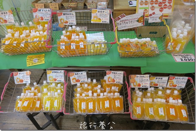 松山萬翠莊 摩天輪 (11)