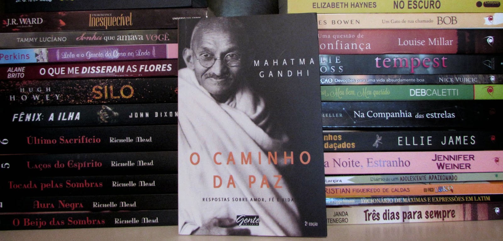 Resultado de imagem para MAHATMAS: O CAMINHO DO APRENDIZADO