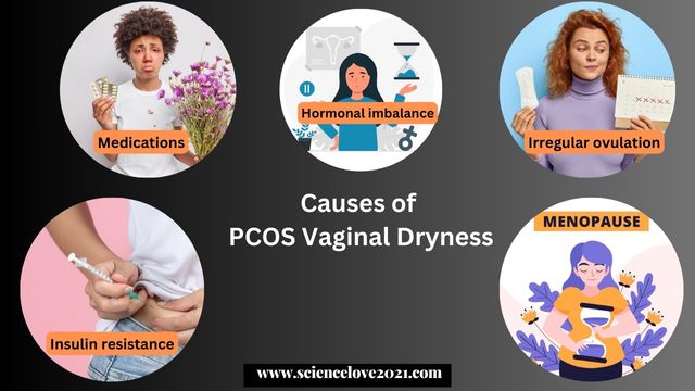 what is PCOS vaginal dryness: its symptoms, cause, effect, treatment