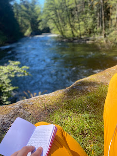 The author sits by a mountain stream and reads and writes for pleasure.