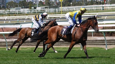 race 4_word of mouth_renew 1