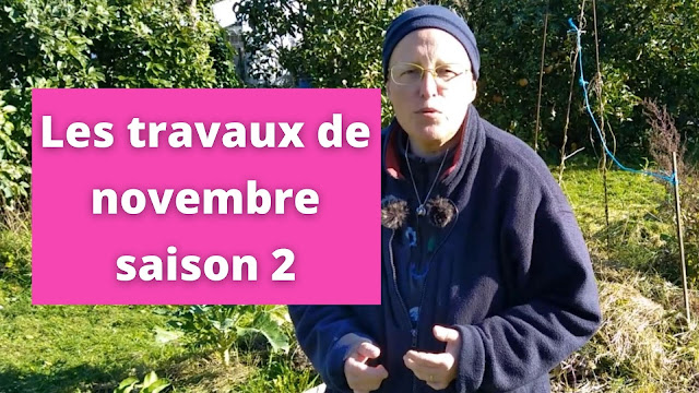 Les travaux de novembre au jardin urbain en permaculture (vidéo)