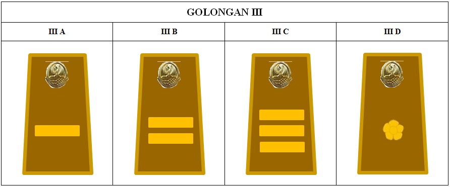 Mengenal Tanda Pangkat PNS ASN Terbaru TozSugianto