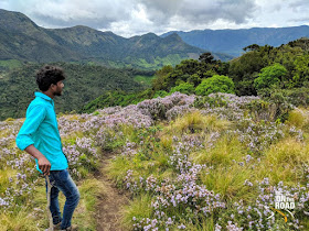 Admiring the Neelakurinji mountain view