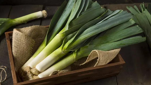 Leek, source of antioxidants and vitamins