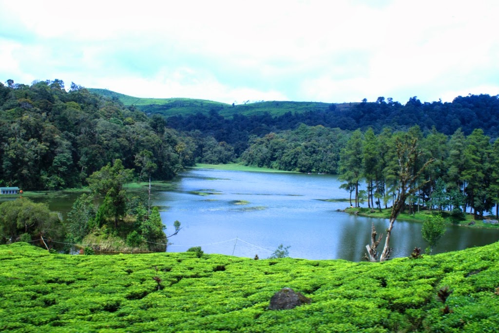 Wisata Alam Situ  Patengan Patenggang  Bandung  Yoshiewafa