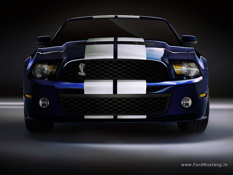 Ford Shelby GT500