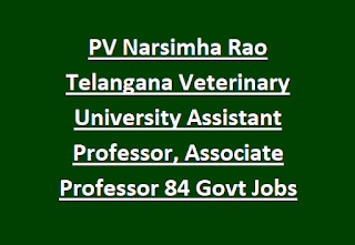 PV Narsimha Rao Telangana Veterinary University Assistant Professor, Associate Professor 84 Govt Jobs