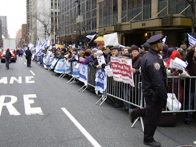 protest cats