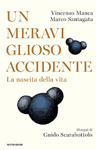 SCArica.™ Un meraviglioso accidente. La nascita della vita Libro. di Mondadori