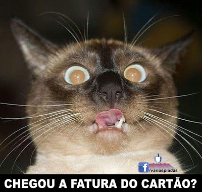 Chegou a fatura do cartão?