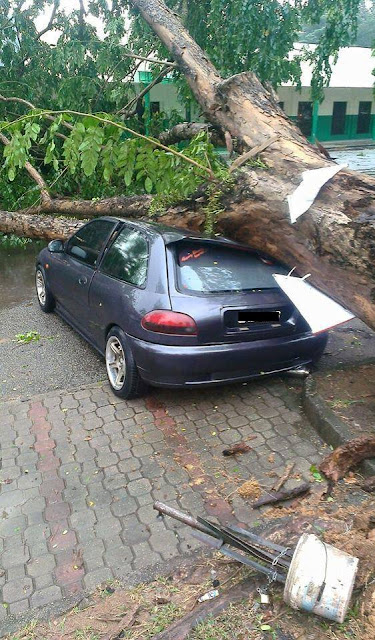 kereta satria dihempap pokok