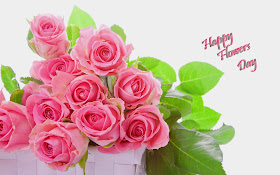 pink-roses-bouquet-flowers