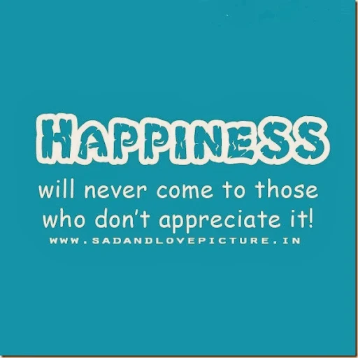 HAPPINESS WILL NEVER COME