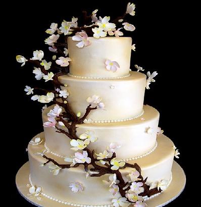 An all bright Wedding Cake is stylish and amazing even if the rest of the 