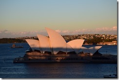 Sydney (11) (Medium)