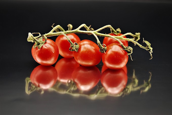 10 nutritional benefits of tomatoes 