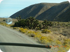 DSCN2831
