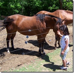 izabel and horses