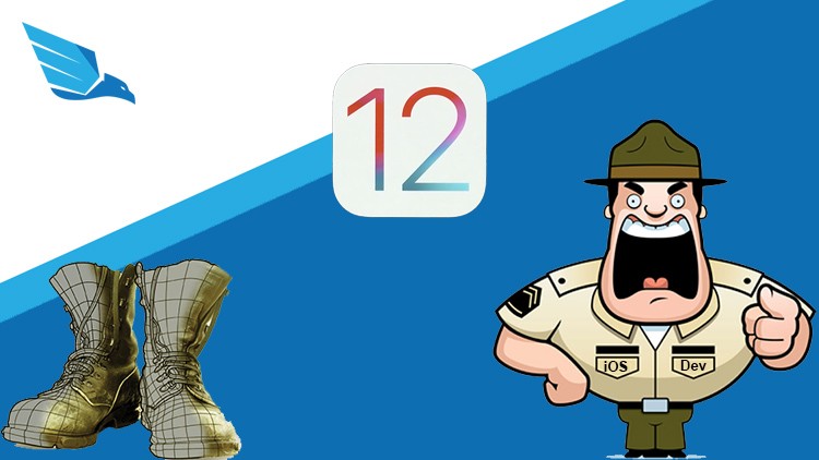 iOS 12 Bootcamp from Beginner to Professional iOS Developer Udemy Coupon