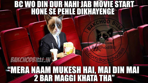 Bakchod Billi latest trolls