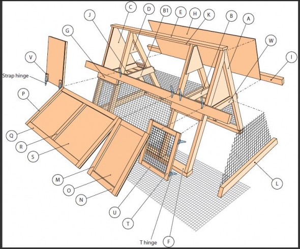 Benefits of Building a Chicken Coop: Cheap, Simple, Affordable, and ...