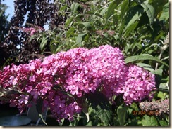 P7041728