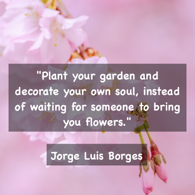 Plant your garden and decorate your own soul, instead of waiting for someone to bring you flowers. -Jorge Luis Borges