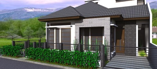 Desain Rumah Minimalis 1 Lantai