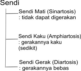 2. Sendi (ARTIKULASI) ~ Pengetahuanku