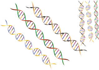 DNA REPLICATION PART 2