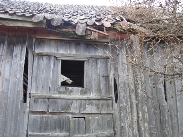 Nov2008 175