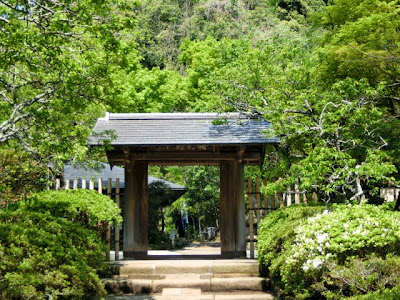 浄智寺の新緑