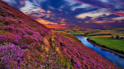 Valley of flowers TREKKING DESTINATIONS IN UTTARAKHAND