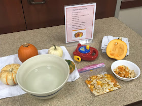 Pumpkin Science activities for kids, Explore pumpkin