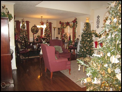 Living room and dining room 1