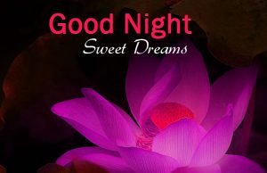 Download Good night Images with Flowers