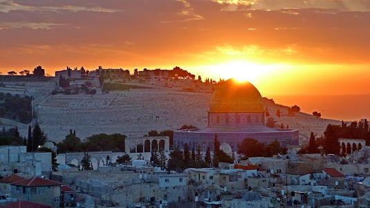 14 Reasons Why You Should Visit Palestine