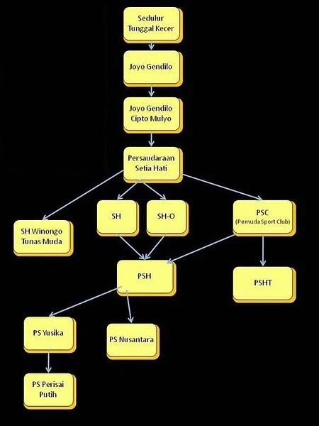 Sejarah Persaudaraan Setia Hati Terate (PSHT)