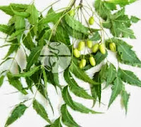 Neem Antiseptic Face Pack