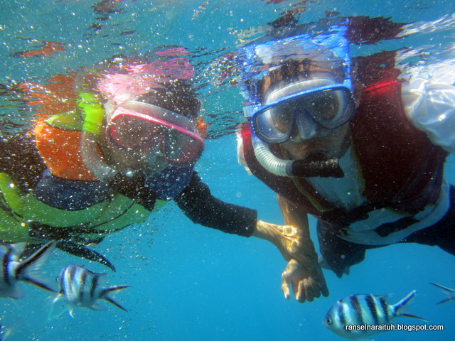 Paket Kacamata  Renang  Selang Selam Snorkeling  Diving Set 