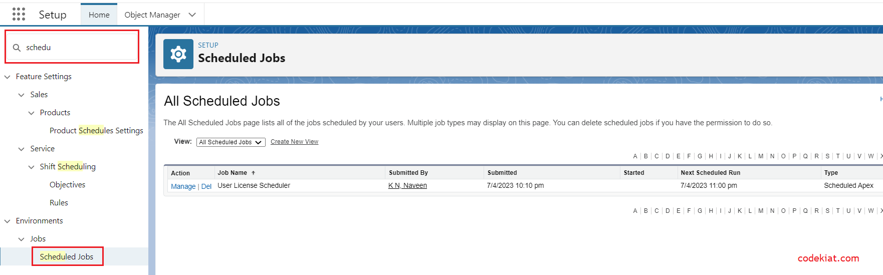 Scheduled jobs view in the salesforce setup