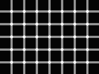 funny illusions picture 1