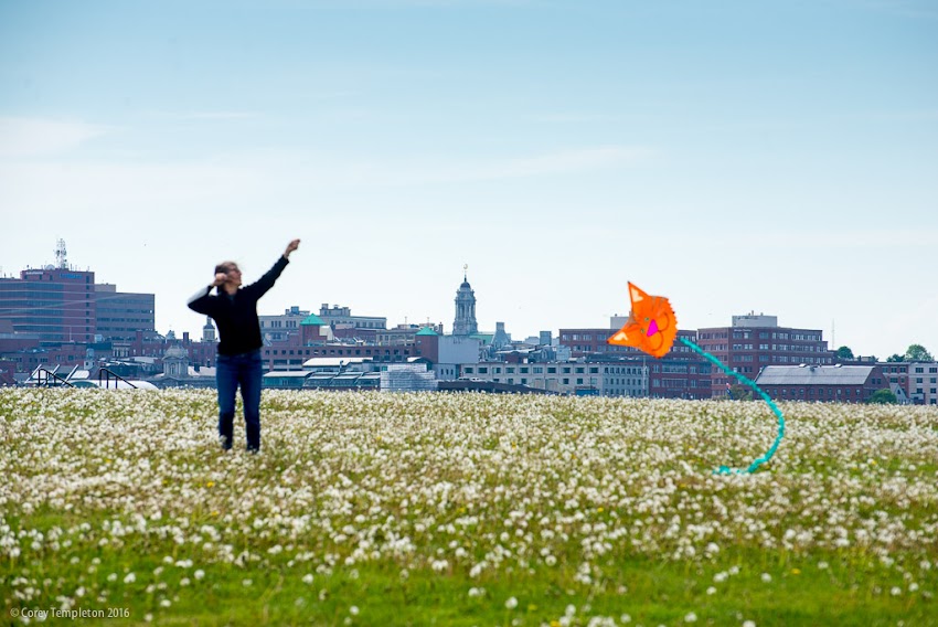 Flying a kite in Bug Light Park in South Portland, Maine with the Portland, Maine skyline in the background. May 2016. Photo by Corey Templeton.